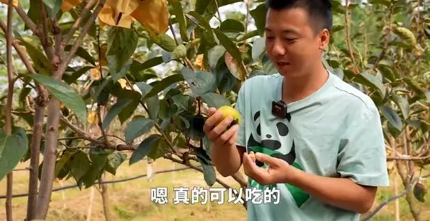 中兴通讯与中国移动为华腾·猪舍里打造5G专网！有哪些亮点？