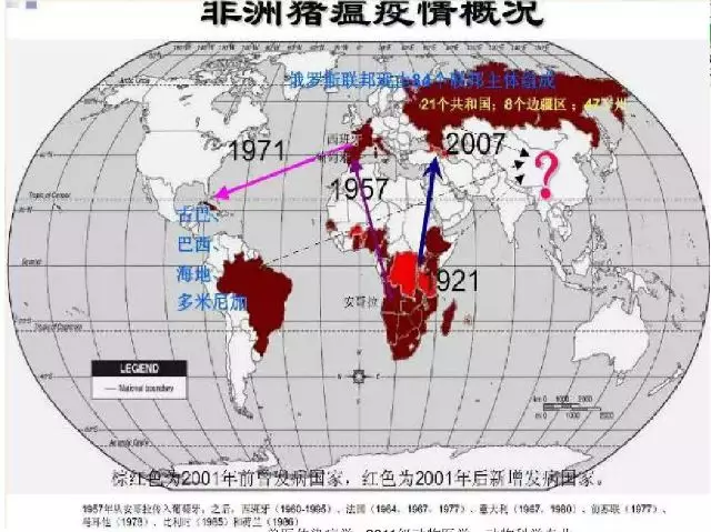 正确认识非洲猪瘟，不要被舆论吓到！