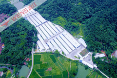 责任担当！温氏入选2021中国企业社会责任发展指数民企十强
