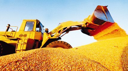 今年玉米及淀粉价差为何大幅波动？具体原因是什么？