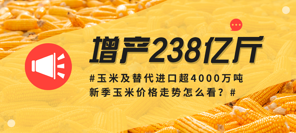 增产238亿斤，玉米及替代进口超4000万吨，新季玉米价格走势怎么看？