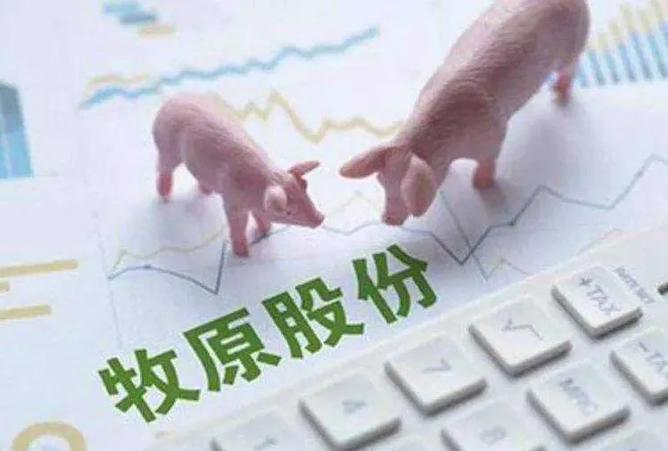 牧原96亿可转债+700亿授信，仍有30余家子公司商票逾期，是巧合还是真的“缺钱”？