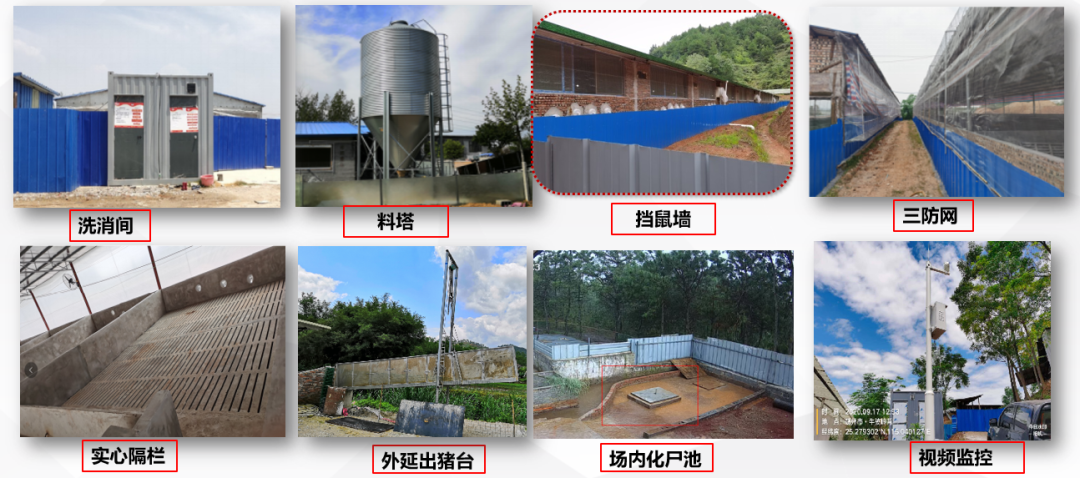 双胞胎集团猪场防非纪实：严抓细节不让1%的疏忽毁掉99%的努力