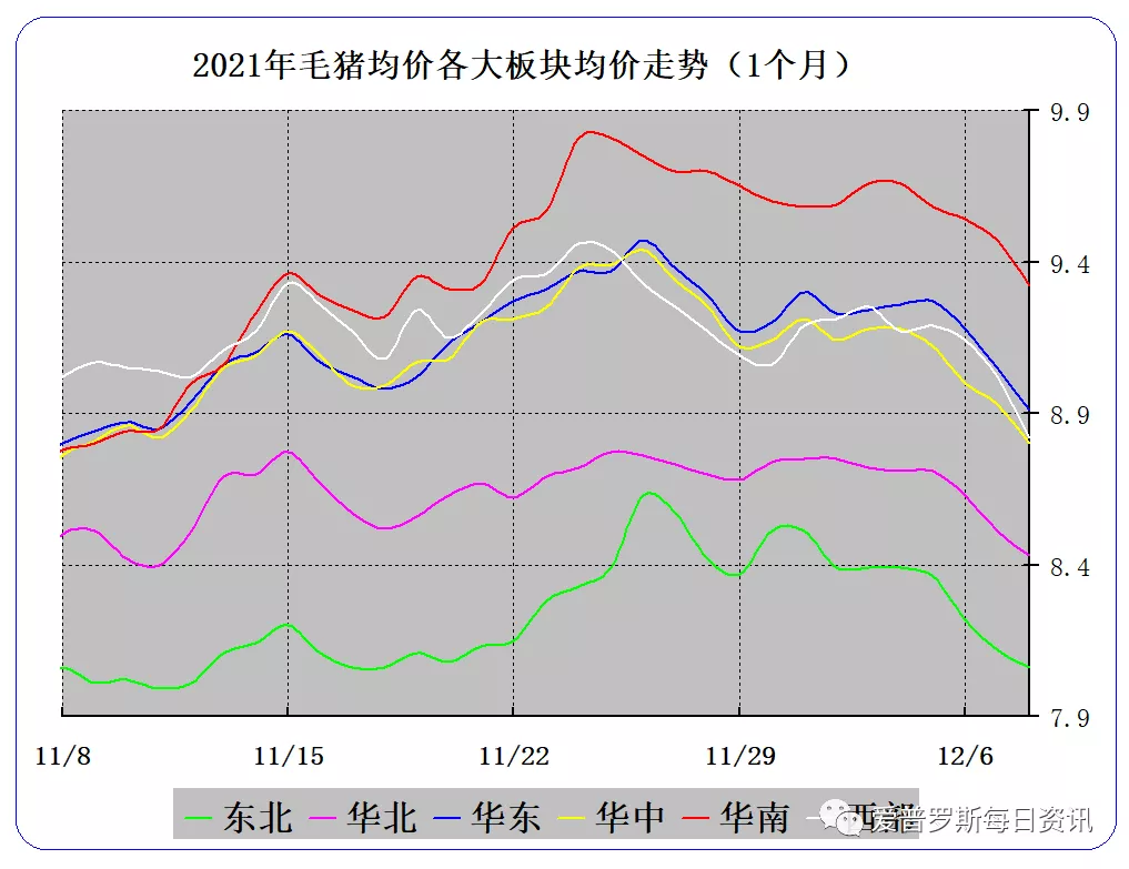 猪价继续杀跌，就像烫手的山芋，暂时无解？