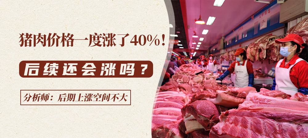 猪肉价格一度涨了40%！后续还会涨吗？分析师：后期上涨空间不大