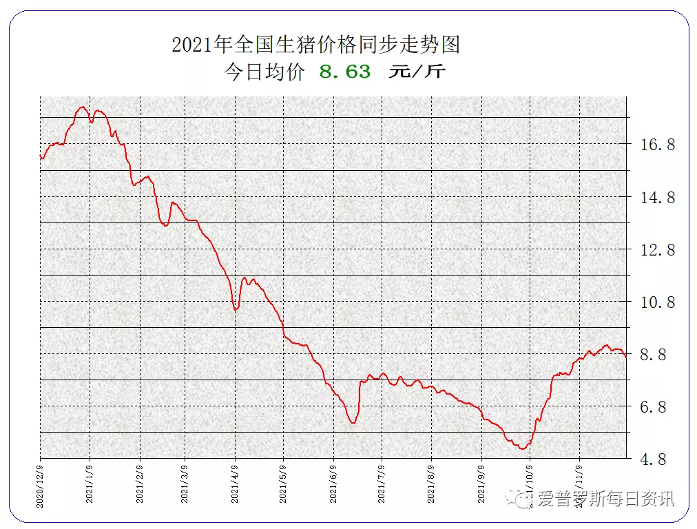 猪价继续杀跌，就像烫手的山芋，暂时无解？
