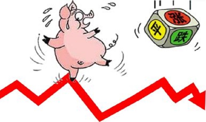 12月12日生猪价格：止跌回涨，涨势能延续吗？看完养猪人有答案了
