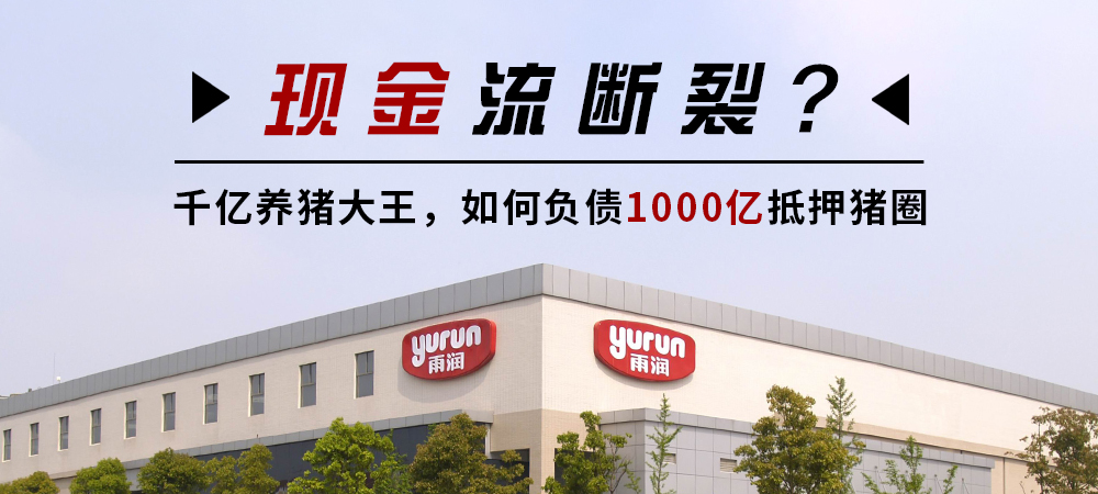 现金流断裂？千亿养猪大王，如何负债1000亿抵押猪圈
