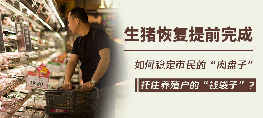 生猪恢复提前完成，如何稳定市民的“肉盘子”，托住养殖户的“钱袋子”？