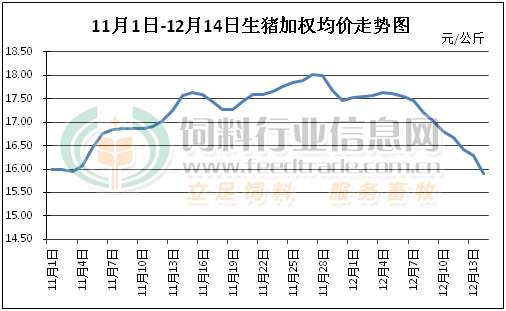 当前市场价格下跌，对1月来说好事？猪价接下来怎么走？