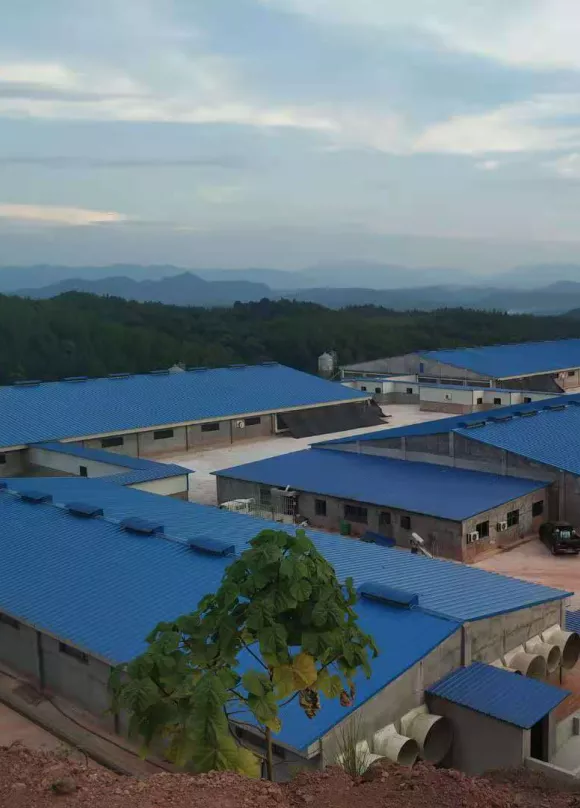 泰和傲牧、吉安现代双双入选江西省“农业物联网示范基地（企业）”名单！