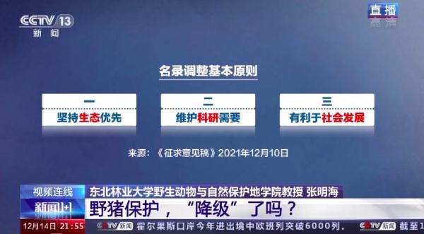 野猪被调出名录，保护降级了吗？捕杀还会获刑吗？
