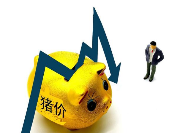 猪价环比下降3.3%！“顶流”猪企正面回应......