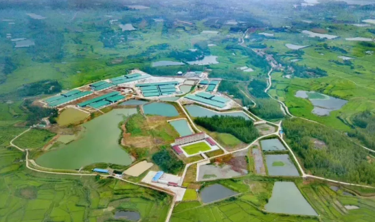 中国建成世界最大养猪场！已经实现了5G覆盖，年出栏210万头