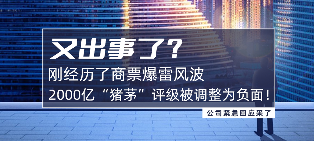 又出事了？刚经历了商票爆雷风波，2000亿“猪茅”评级被调整为负面！公司紧急回应来了