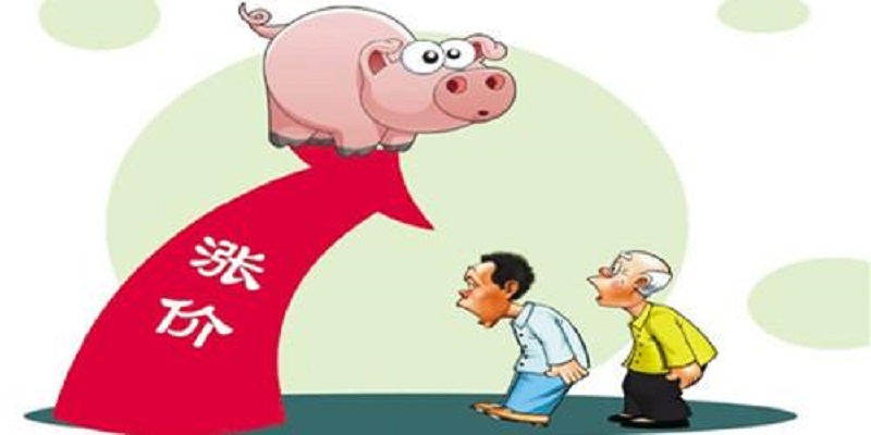 12月17日猪价：多地“飘红”！猪价卖力上涨，能涨到春节吗？