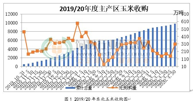 今年主产区玉米收购进度如何？年前还会涨价吗？