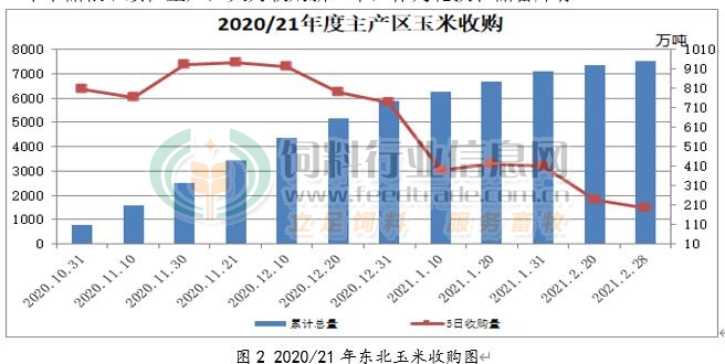 今年主产区玉米收购进度如何？年前还会涨价吗？