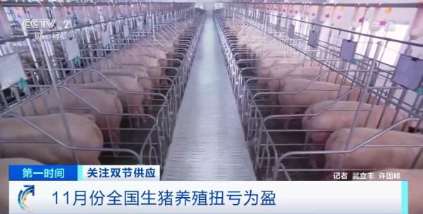 元旦、春节要来到，猪肉价格不升反降？还会再涨吗？