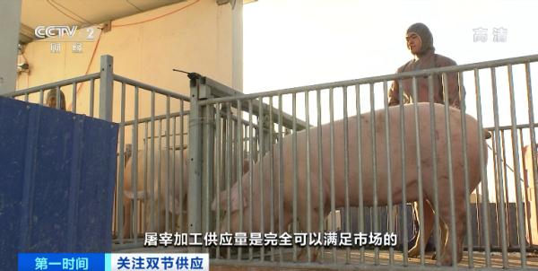 元旦、春节要来到，猪肉价格不升反降？还会再涨吗？