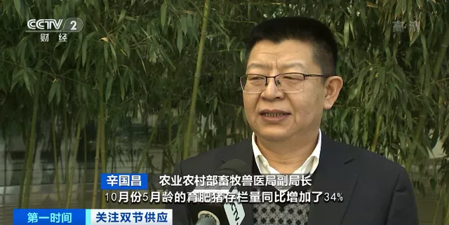 辛国昌：18万家规模猪场存栏中大猪较多，春节猪价不会大涨！11月能繁母猪4296万头！