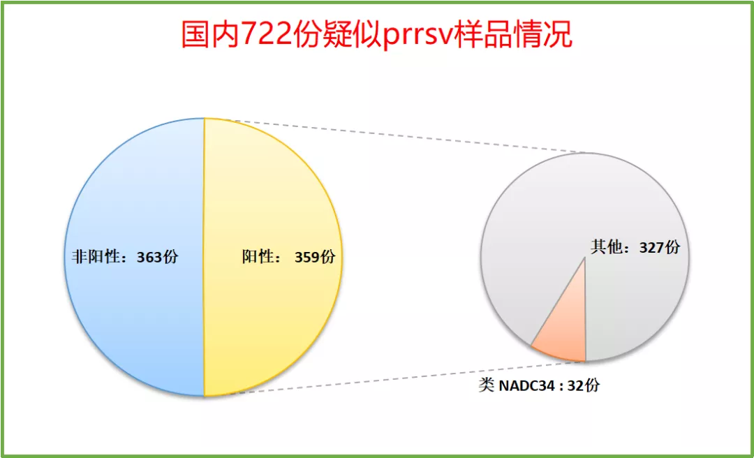 国内蓝耳新毒株与美国1-4-4高度同源