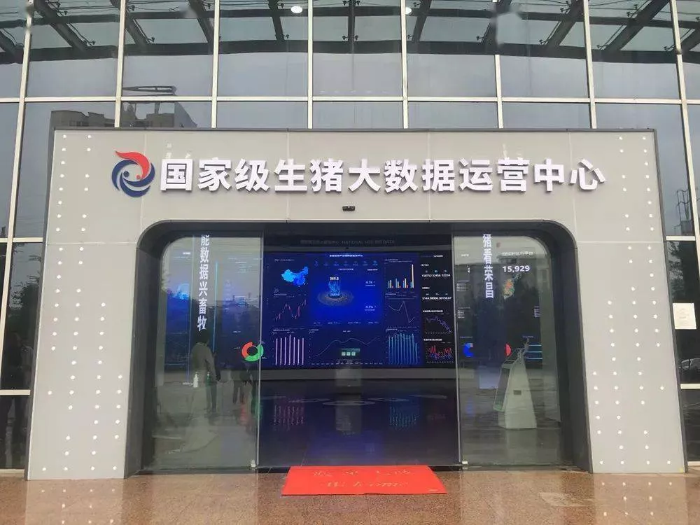 生猪期现产能压力阶段释放，盘面重压何时才能出头
