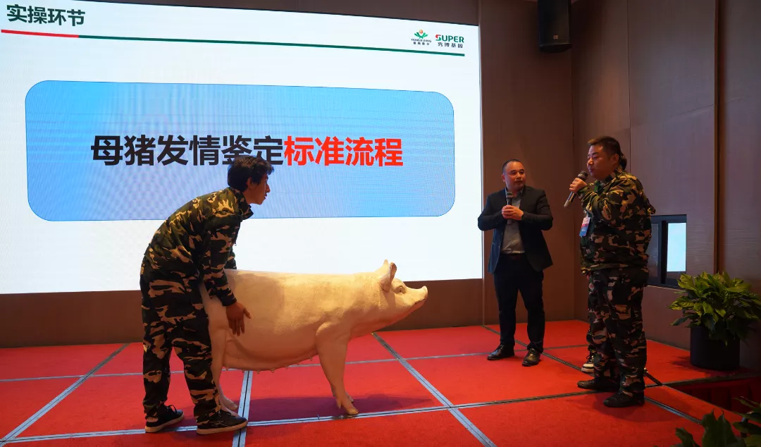 养猪不能单靠“经验”！提升猪场生产成绩还需聚焦“重点”