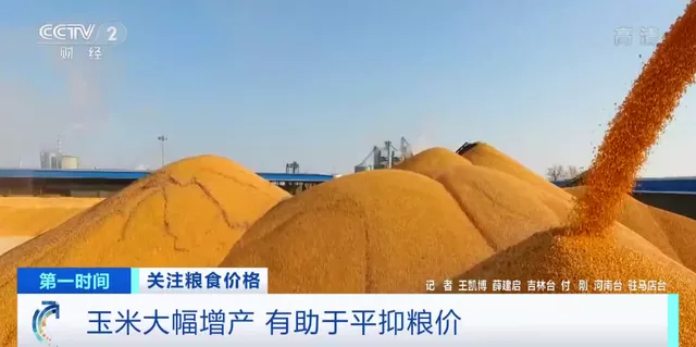 新粮上市，对玉米价格有何影响？会平抑粮价吗？