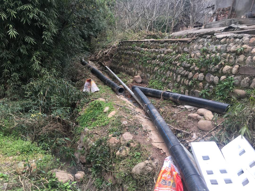 四川江油市一猪场排污管破裂长达10余米，沟渠内可见流淌的粪污！
