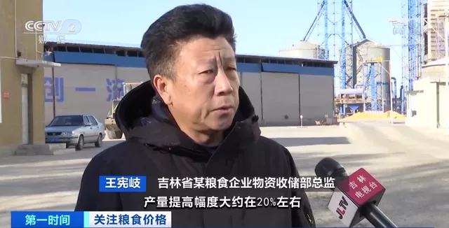 新粮上市，对玉米价格有何影响？会平抑粮价吗？