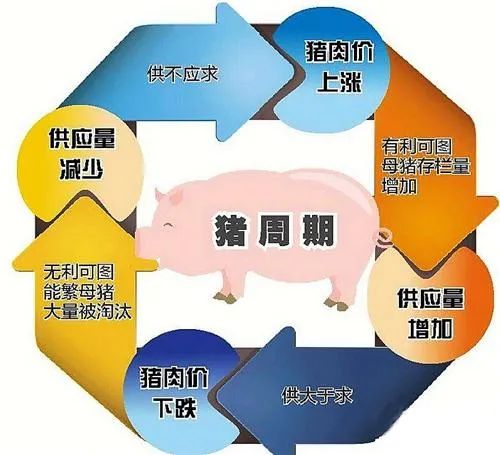 行情震荡幅度之大，让所有从业者始料未及，在接受记者采访时，有中小养殖企业负责人坦言，精神紧张到失眠；有从业者自嘲，行业盼的是一棵“梧桐树”，结果现实却给了一棵“柳树”；也有企业表示，已经积极开拓新的利润增长点。