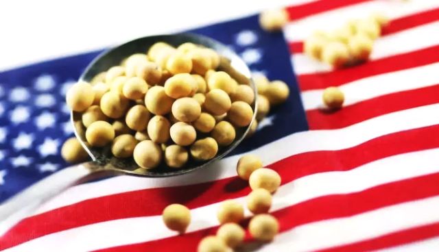 中国主要进口哪些美国农产品？除了大豆还有什么？