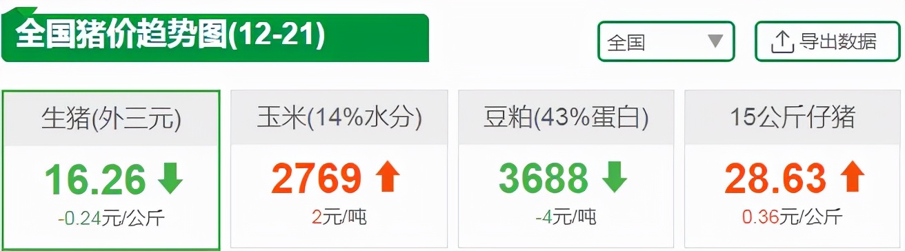 12月21日猪价：跌势凶猛！多地跌至8元以下，猪价到底怎么了？