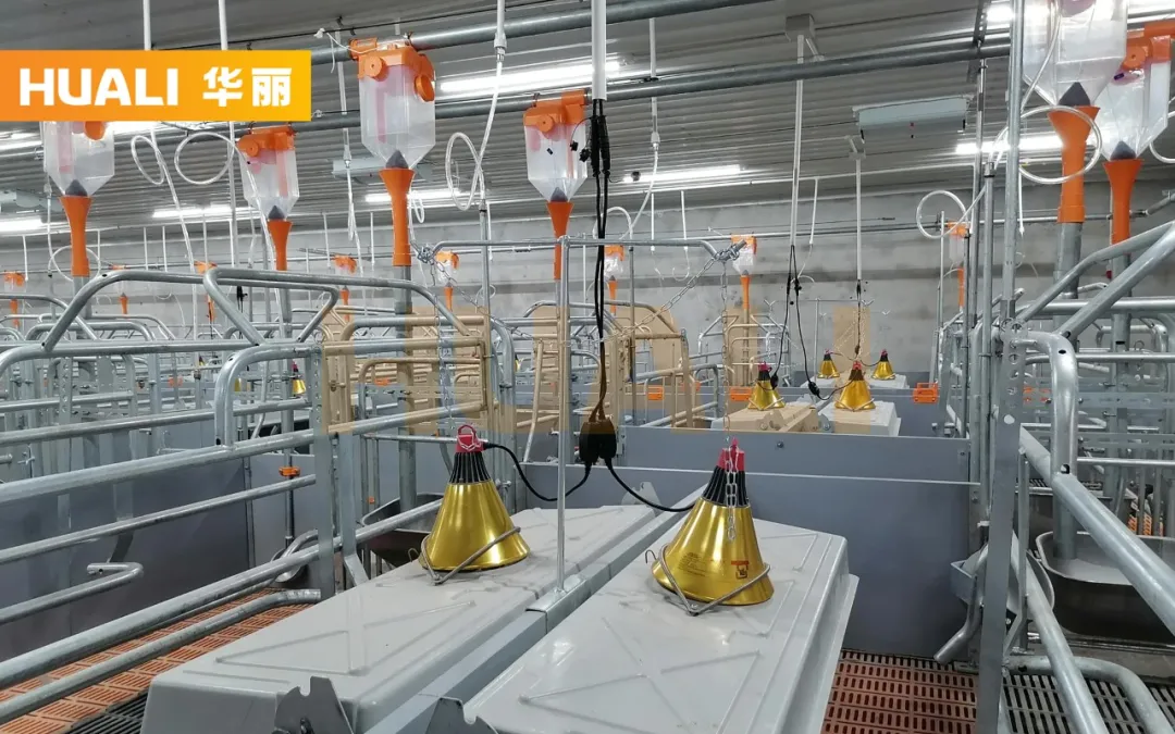 上新！陕西和佑4800头母猪养殖EPC项目投产在即，年出栏可达12万头仔猪