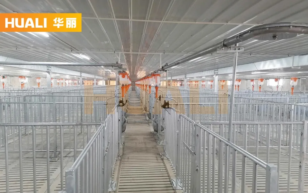 上新！陕西和佑4800头母猪养殖EPC项目投产在即，年出栏可达12万头仔猪