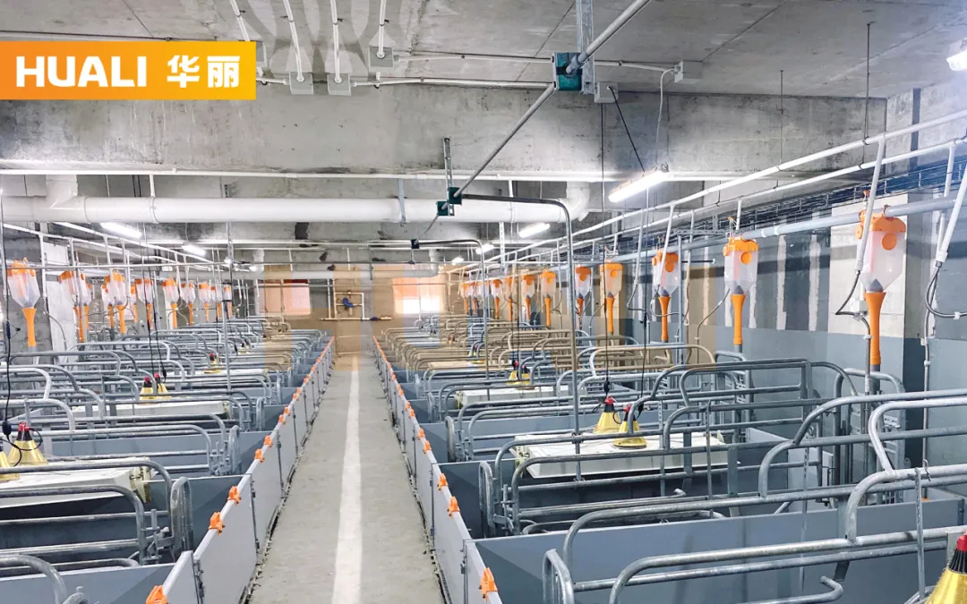 系统赋能，层层拔高！常熟德康立体养殖聚落即将投产