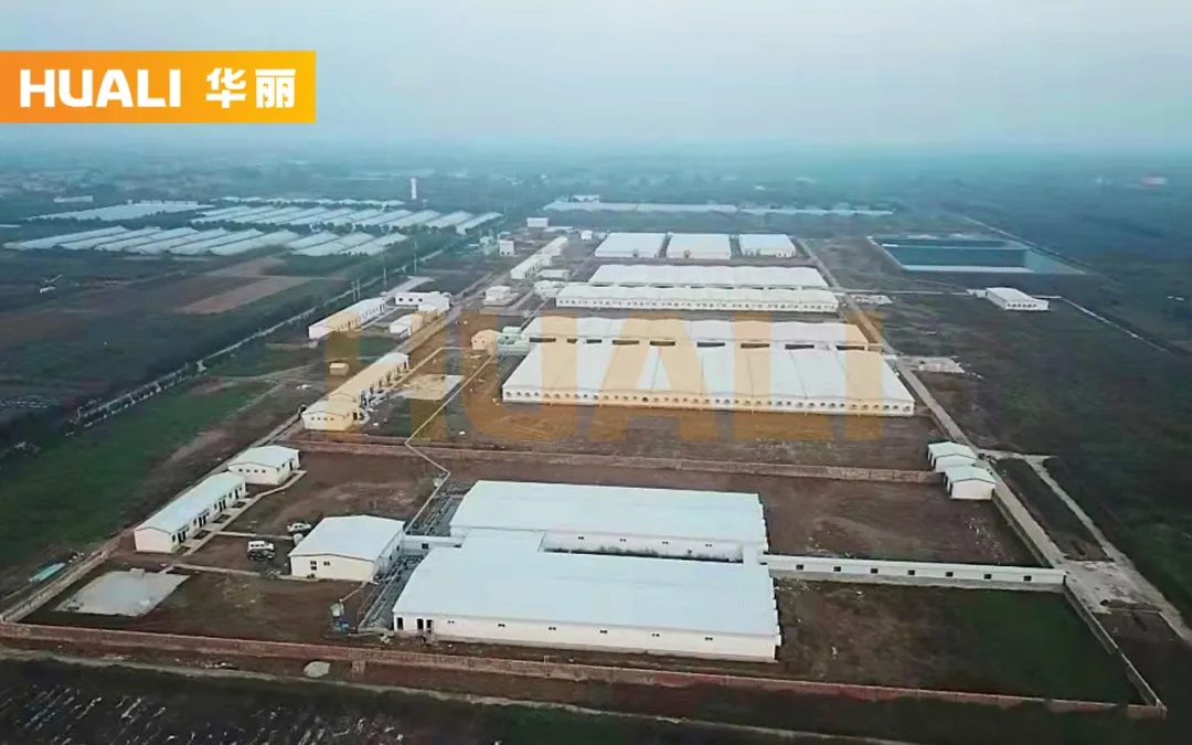 上新！陕西和佑4800头母猪养殖EPC项目投产在即，年出栏可达12万头仔猪
