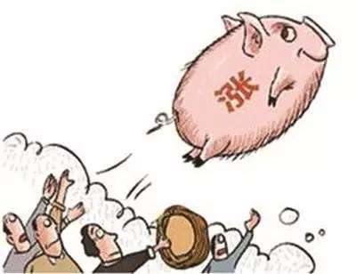 畜牧业迎政策利好，金新农、唐人神领涨猪肉股！