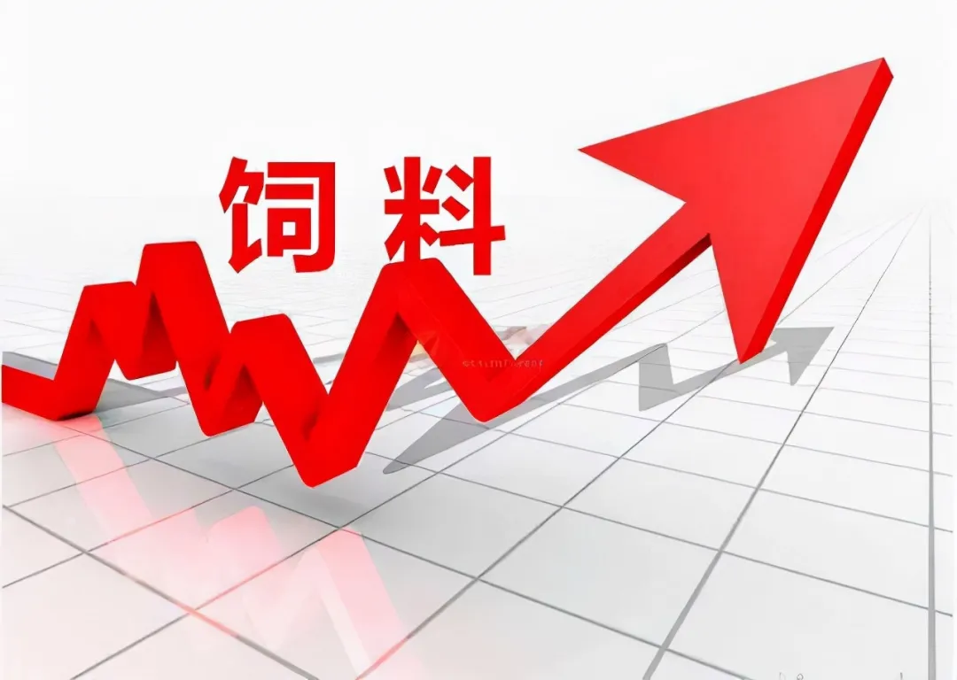 2022年养猪业将面临5大挑战！养猪还能赚到钱吗？