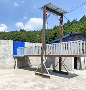 双胞胎堡垒计划全面升级，助力养户非瘟环境下养好猪！