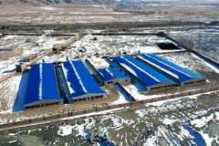 德康农场：投资600万，跟着德康谋一份稳定事业