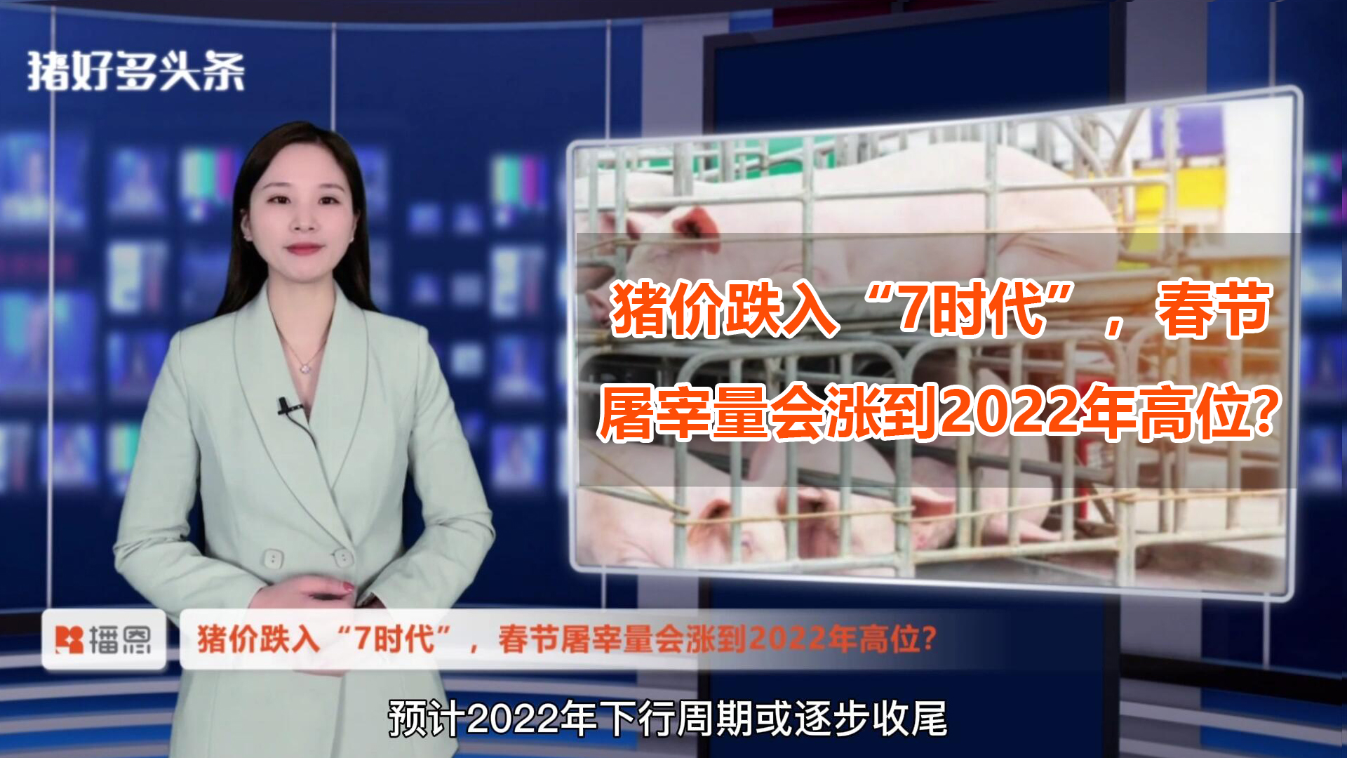 猪价跌入7元时代，春节屠宰量或涨至2022年高位！终于要反弹了？