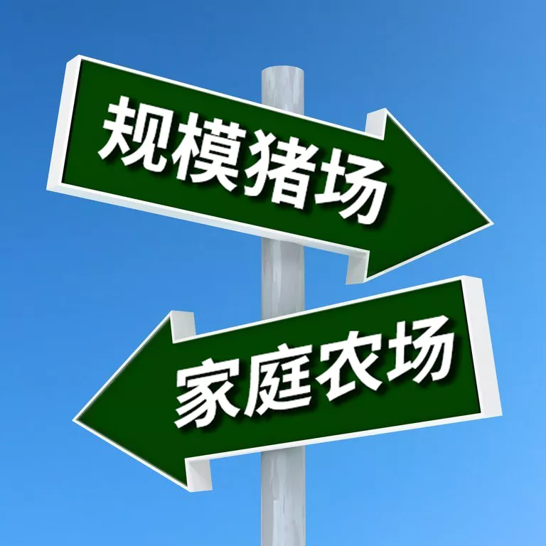 “十四五”解读 | 未来5年，万亿级市场规模的生猪产业将走向何方？