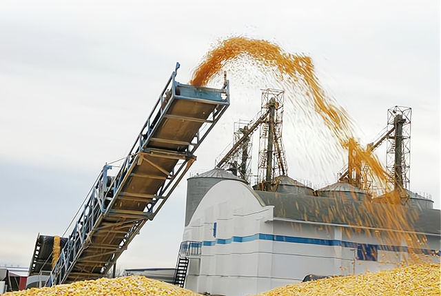 12月玉米价格飘忽不定，接下来是涨是跌？