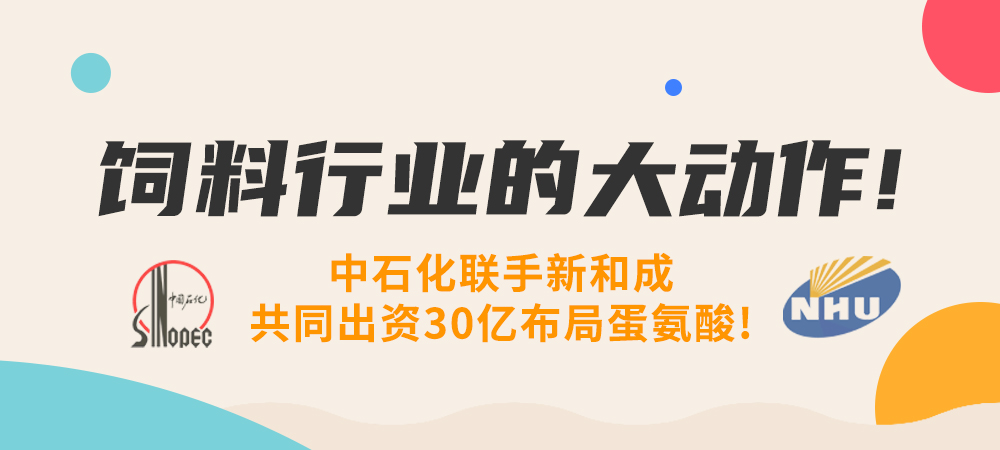 饲料行业的大动作！中石化联手新和成，共同出资30亿布局蛋氨酸！