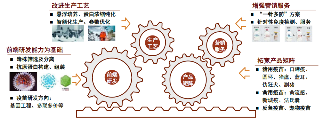 中金2022年展望 | 农业：看好生猪及制种两条主线