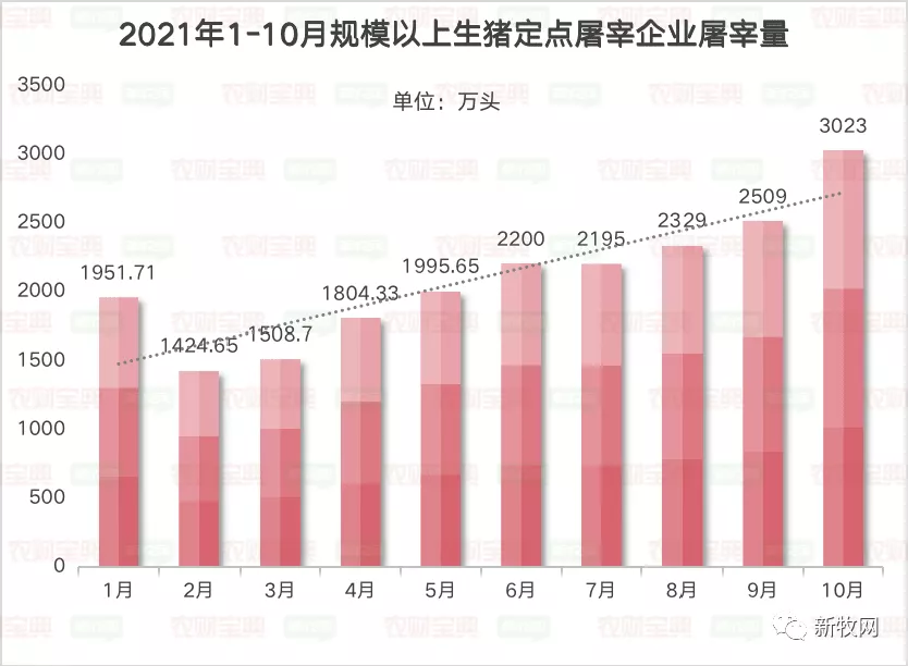 2022年猪价走势的两大观点！我们会不会再次全行业误判？