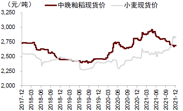 中金2022年展望 | 农业：看好生猪及制种两条主线