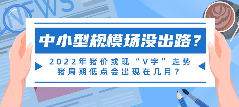中小型规模场没出路？2022年猪价或现“V字”走势，猪周期低点会出现在几月？